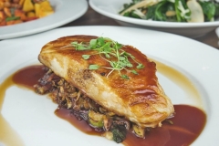 salmon